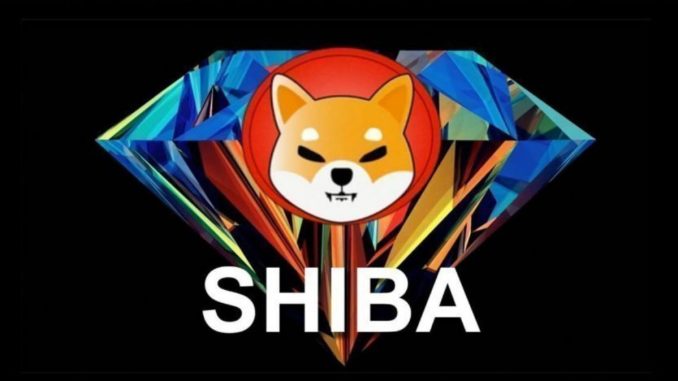 shibainu-coin-token-kripto-para-nedir