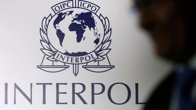 interpol-çevrimiçi-dolandırıcılık